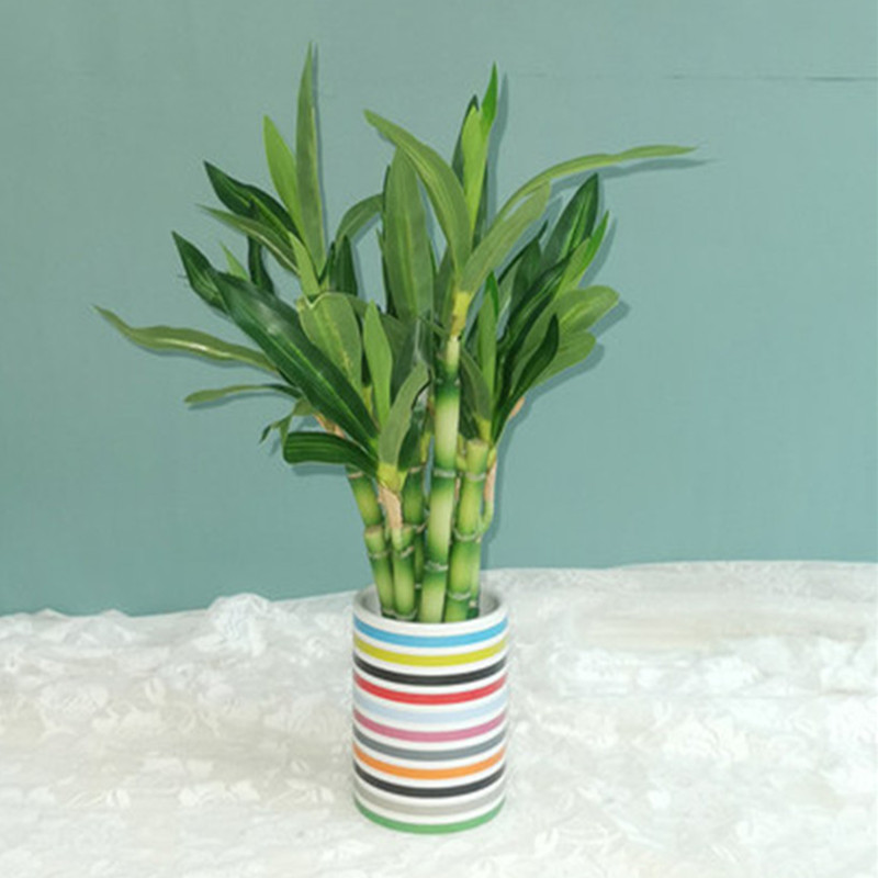새로운 40cm rFtificial 행운의 대나무 즙이 - Outdoor Furniture Designer 리뷰 및 가격